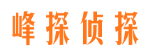 新县侦探